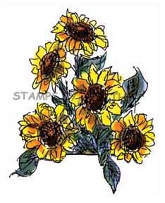 R-08 Sunflower Bouquet